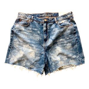 American Eagle Outfitters Blue Jean Shorts